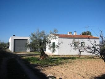 Ibi Ibi